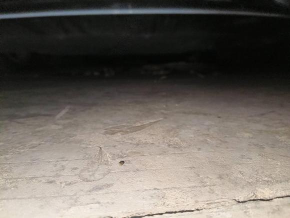 [深圳·粤B] 二手岚图汽车岚图追光2023款 四驱标准版