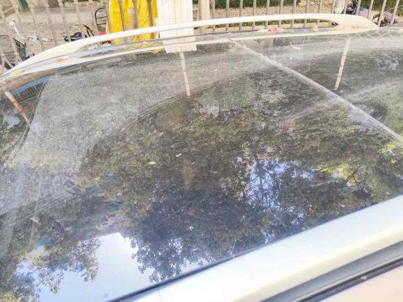 [南京·苏A] 二手雷诺科雷傲2010款 2.5L 四驱舒适型