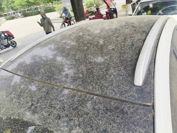 [西安·陕A] 二手吉利汽车帝豪GS2016款 优雅版 1.8L 手动领尚型