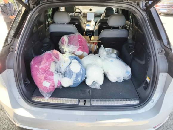 [上海·沪A] 二手蔚来蔚来ES82020款 415KM 六座版