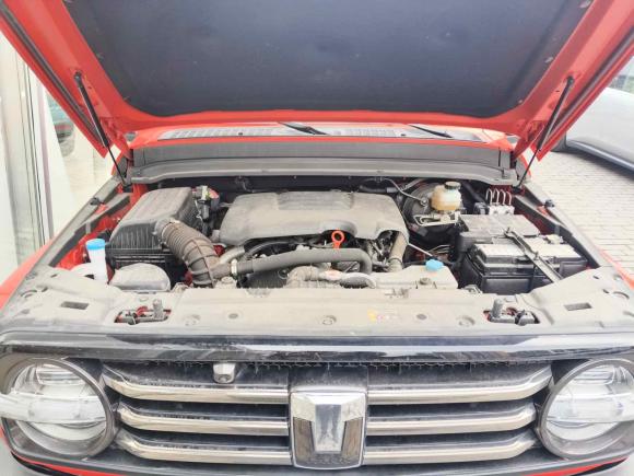 [上海·沪B] 二手坦克坦克3002023款 城市版 2.0T 很有型