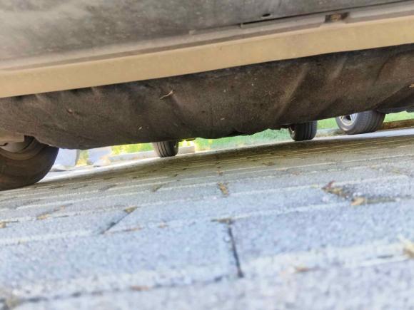 [青岛·鲁B] 二手福特福克斯2012款 两厢 1.6L 自动舒适型