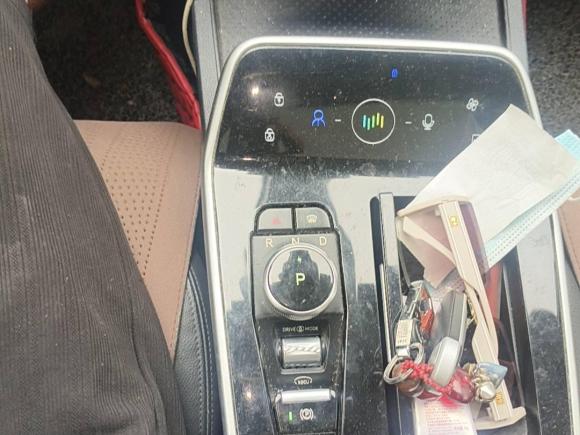 [温州·浙C] 二手威马汽车威马EX52021款 EX5-Z Fun动感版