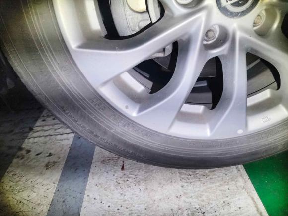[合肥·皖A] 二手日产轩逸2022款 经典 1.6XL CVT豪华版
