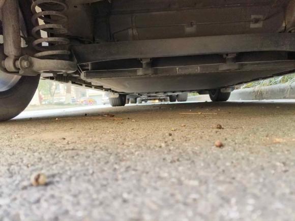 [嘉兴·浙F] 二手比亚迪海豚2021款 405km 时尚版