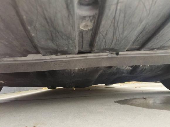 [常州·苏D] 二手福特福克斯2015款 三厢 1.6L 手动风尚型