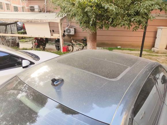 [苏州·苏U] 二手奥迪奥迪A4L2022款 40 TFSI 豪华动感型