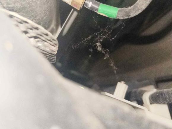 [济南·鲁A] 二手沃尔沃沃尔沃V902020款 Cross Country T5 AWD 智尊版