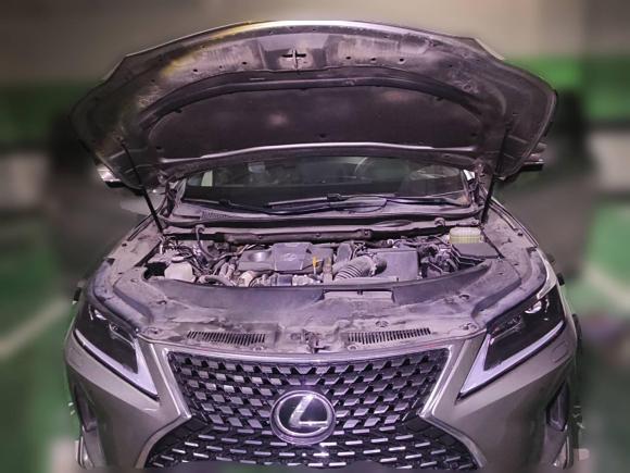 [武汉·鄂A] 二手雷克萨斯雷克萨斯RX2020款 改款 300 两驱精英版