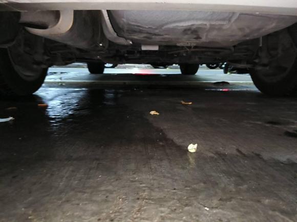 [深圳·粤B] 二手DSDS 5LS2015款 1.6T 豪华版THP160