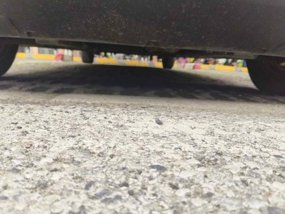 [苏州·苏E] 二手上汽大通MAXUS大通EV302023款 纯电智能物流专家长轴国轩