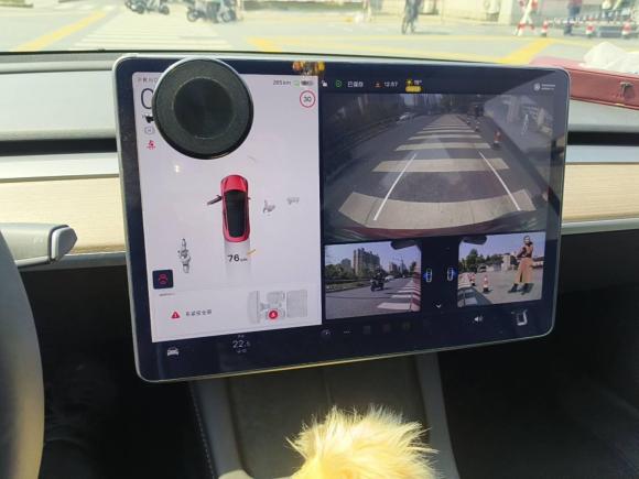 [杭州·浙A] 二手特斯拉Model 32021款 标准续航后驱升级版 3D6