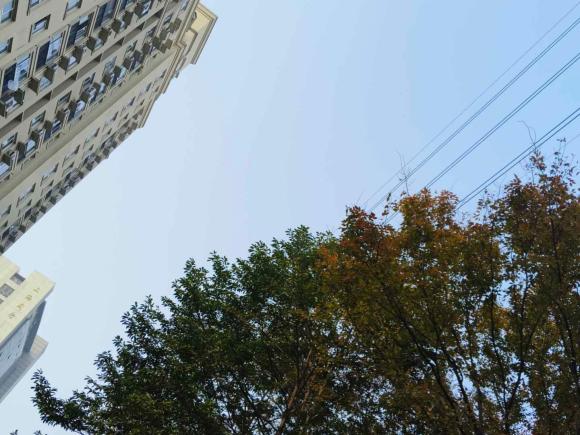 [上海·沪D] 二手奔驰奔驰GLA2018款 GLA 200 动感型