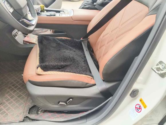 [成都·川A] 二手长安启源长安启源Q05经典2024款 真香版 125 超越型 中创新航