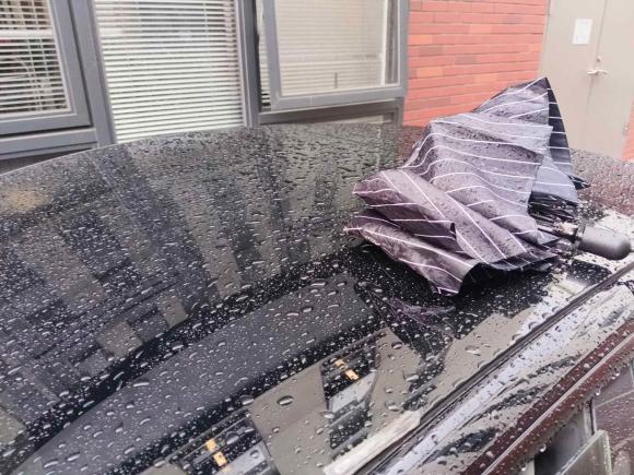 [广州·粤A] 二手特斯拉Model 32021款 标准续航后驱升级版