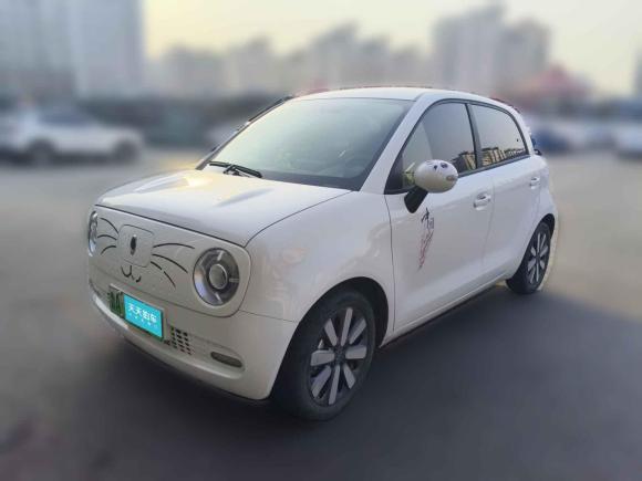 [济南·鲁A] 二手欧拉欧拉黑猫2021款 351km 标准型