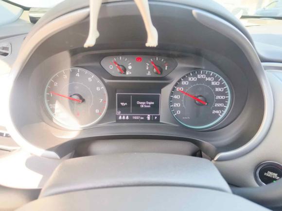 [上海·浙F] 二手雪佛兰迈锐宝XL2019款 535T CVT锐行版