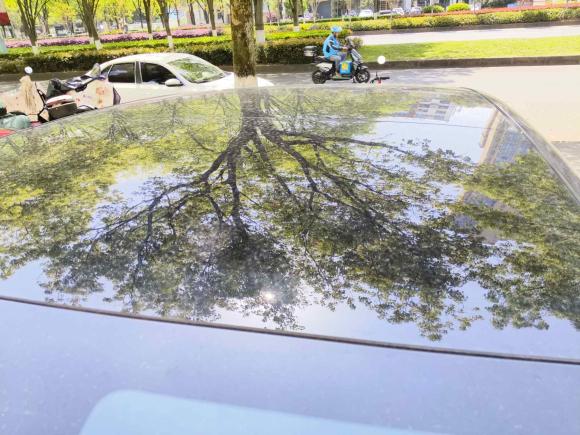 [金华·浙G] 二手阿维塔阿维塔112023款 长续航单电机版 5座