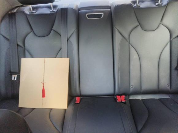 [合肥·吉A] 二手红旗红旗E-QM52023款 620km PLUS