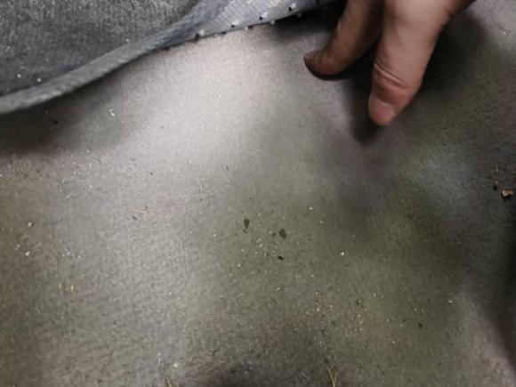 [杭州·浙A] 二手马自达马自达62012款 2.0L 自动时尚型