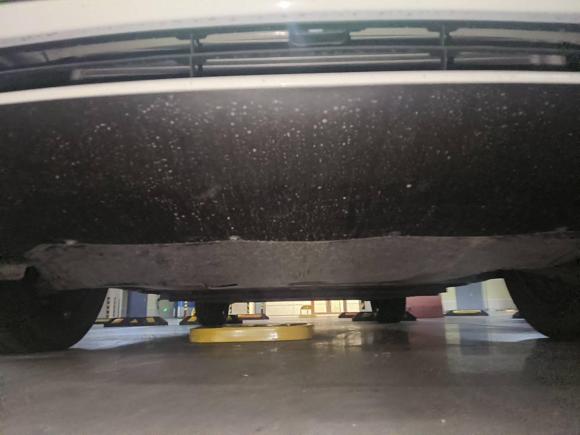 [宁波·浙B] 二手比亚迪比亚迪e22021款 豪华型