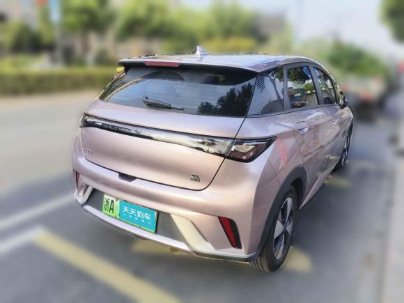 [杭州·浙A] 二手比亚迪海豚2023款 420km 时尚版