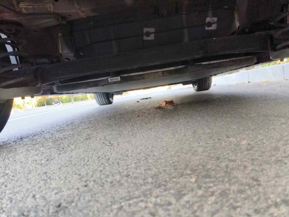 [青岛·鲁B] 二手比亚迪海豚2023款 50万纪念版Plus