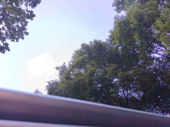 [宁波·浙B] 二手丰田雷凌2014款 1.6G CVT精英版