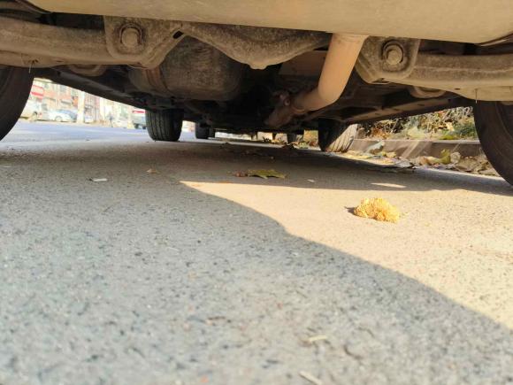 [青岛·浙G] 二手汉腾汽车汉腾X72016款 2.0T DCT御马版