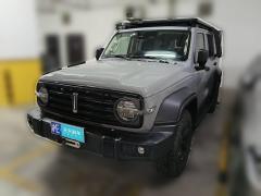 [上海·沪E] 坦克坦克3002021款 越野版 2.0T 征服者