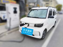 [南通·苏F] 五菱汽车五菱之光新能源2025款 305km 进取型