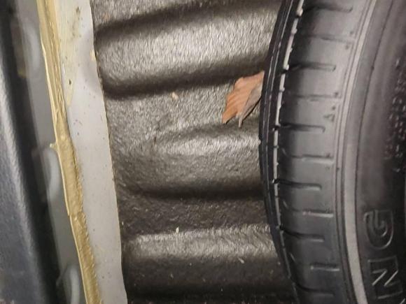 [嘉兴·浙F] 二手名爵MG52021款 180DVVT CVT青春豪华版