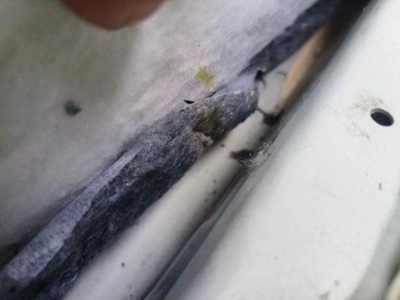 [武汉·鄂J] 二手奔腾奔腾B702014款 1.8T 自动运动尊享型