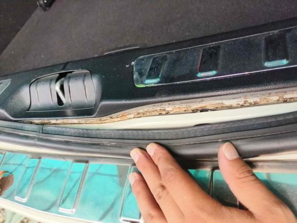 [嘉兴·浙F] 二手奔驰奔驰B级2009款 B 200 豪华型