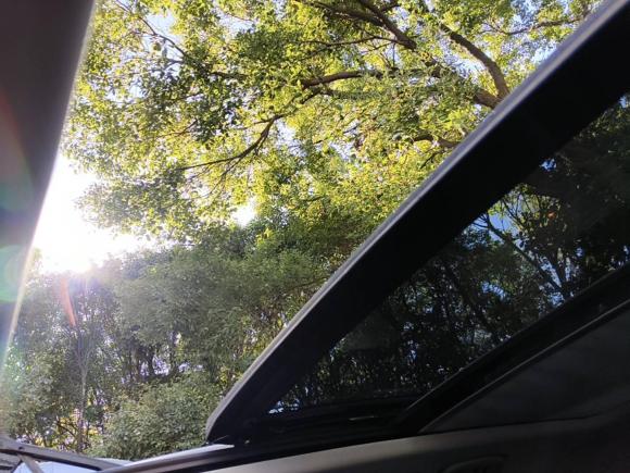 [上海·沪C] 二手斯柯达柯迪亚克2017款 TSI330 5座两驱豪华版