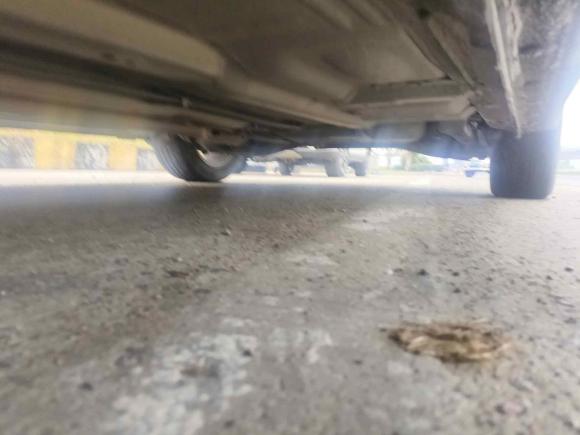 [宁波·浙B] 二手本田思域2014款 1.8L 自动经典版