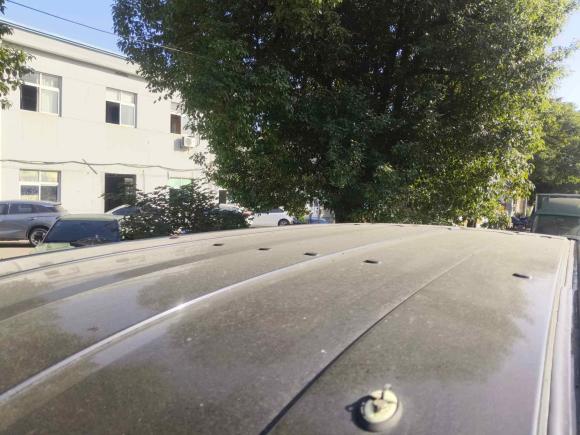 [宁波·浙B] 二手福特全顺2019款 2.0T柴油多功能商用车短轴中顶6座国VI