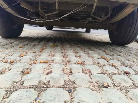 [无锡·苏B] 二手上汽大通MAXUS新途V802012款 2.5T 中顶超值物流版A