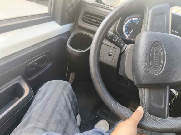 [南通·苏F] 二手开瑞江豚E72024款 创业版