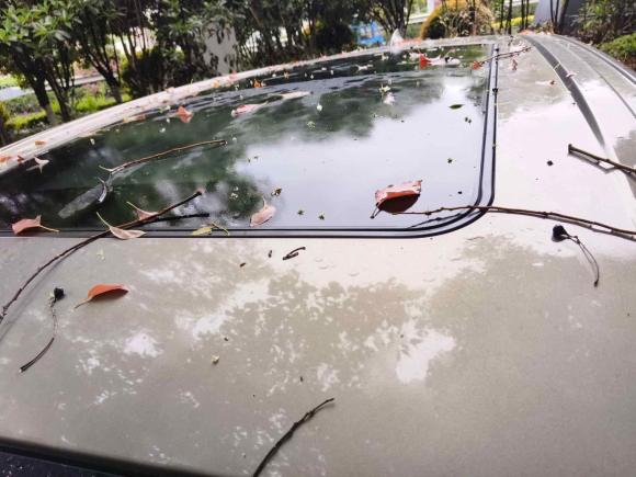 [嘉兴·浙F] 二手别克别克GL62018款 18T 6座尊贵型