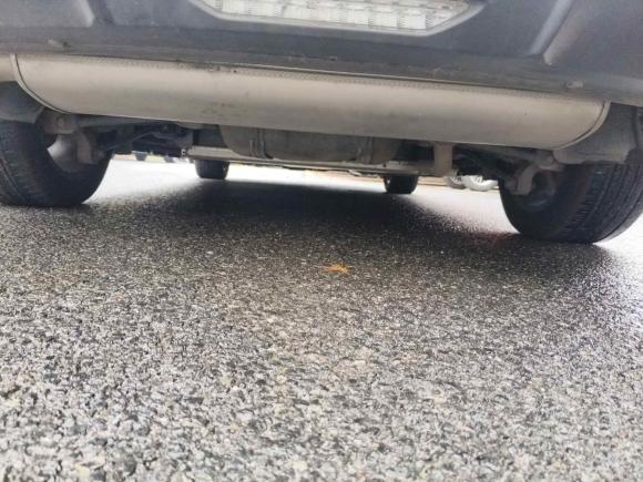 [上海·沪A] 二手比亚迪秦Pro新能源2018款 DM 1.5TI 自动智联锐耀型