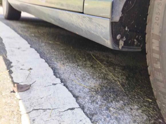 [苏州·苏E] 二手沃尔沃沃尔沃V402014款 2.0T 智雅版