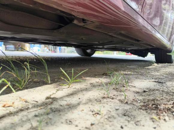 [无锡·苏B] 二手雷克萨斯雷克萨斯IS2009款 300