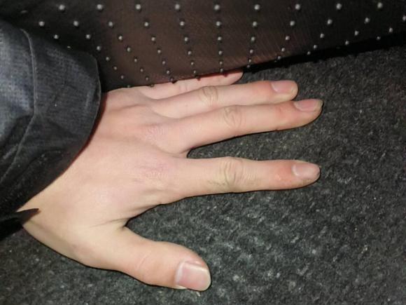 [嘉兴·浙F] 二手福特翼搏2013款 1.5L 自动风尚型