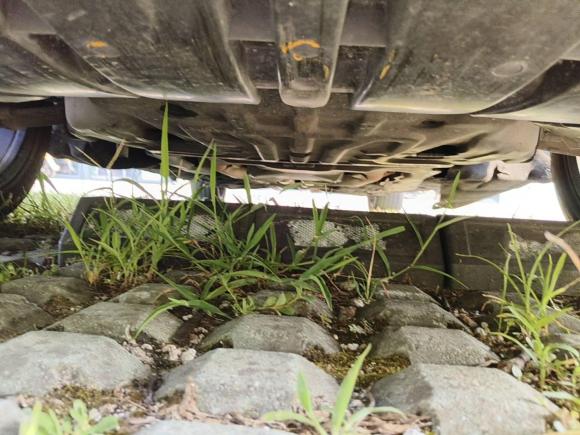 [宁波·鲁M] 二手奔驰奔驰S级2012款 S 300 L 商务型 Grand Edition