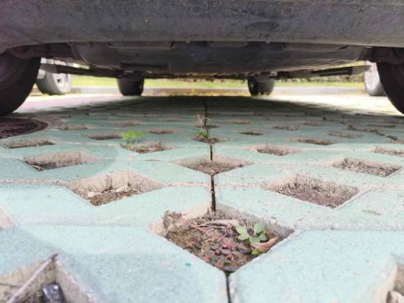 [南京·苏A] 二手奔驰奔驰GLC2020款 改款 GLC 300 L 4MATIC 动感型