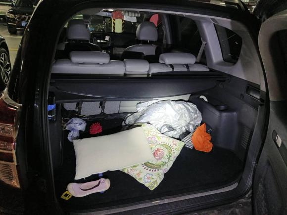 [上海·沪D] 二手丰田RAV4荣放2010款 2.0L 自动豪华升级版