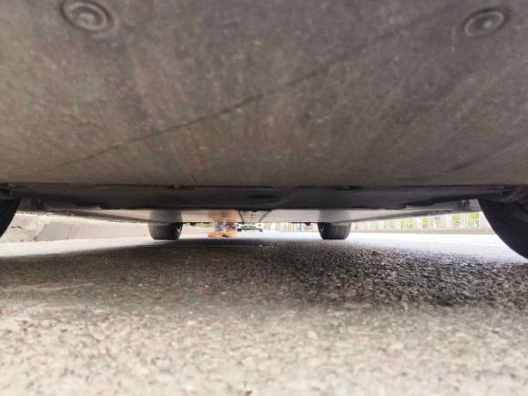 [上海·沪A] 二手特斯拉Model 32019款 标准续航后驱升级版