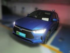 [上海·沪A] 比亚迪比亚迪e22021款 豪华型
