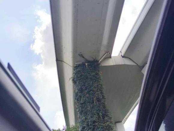 [上海·苏K] 二手日产骐达TIIDA2016款 1.6L CVT智行版